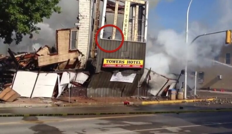 Cat Deftly Escapes Fiery Building Collapse With Only Minor Injuries ...
