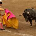 Barbaric Bullfighting 'Sport' Gets Hit Where It Really Hurts