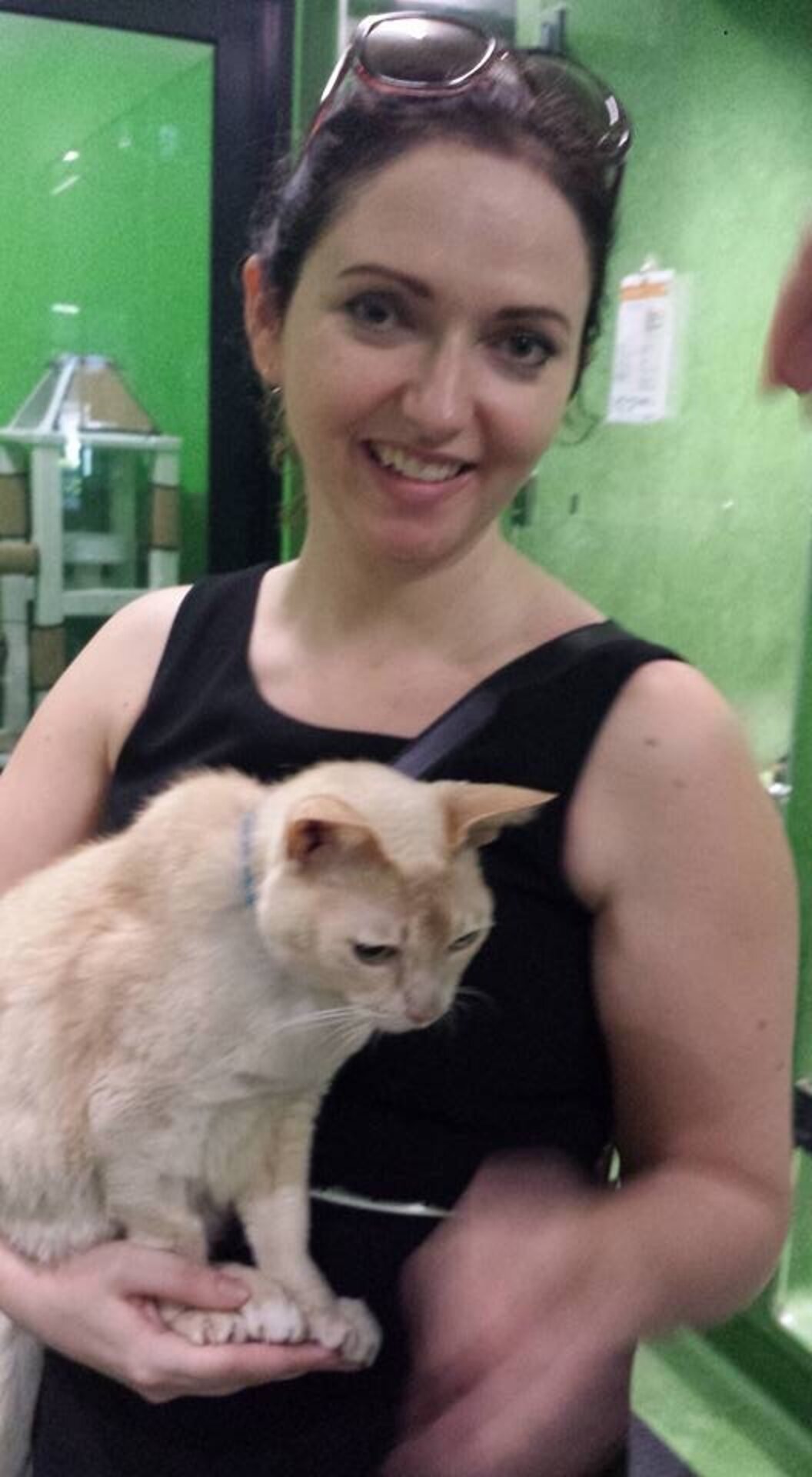 Senior Rescue Cat Only Sleeps If His Mom Holds His Paw - The Dodo