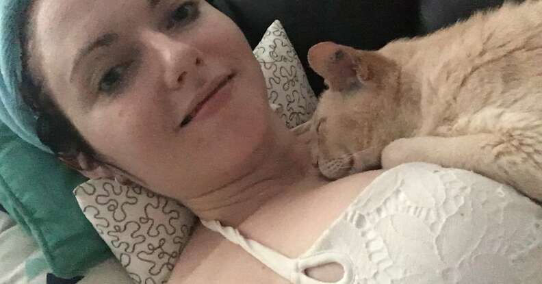 senior cat loves new mom