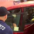 Firefighters Break Into Hot Car To Rescue 12-Year-Old Dog