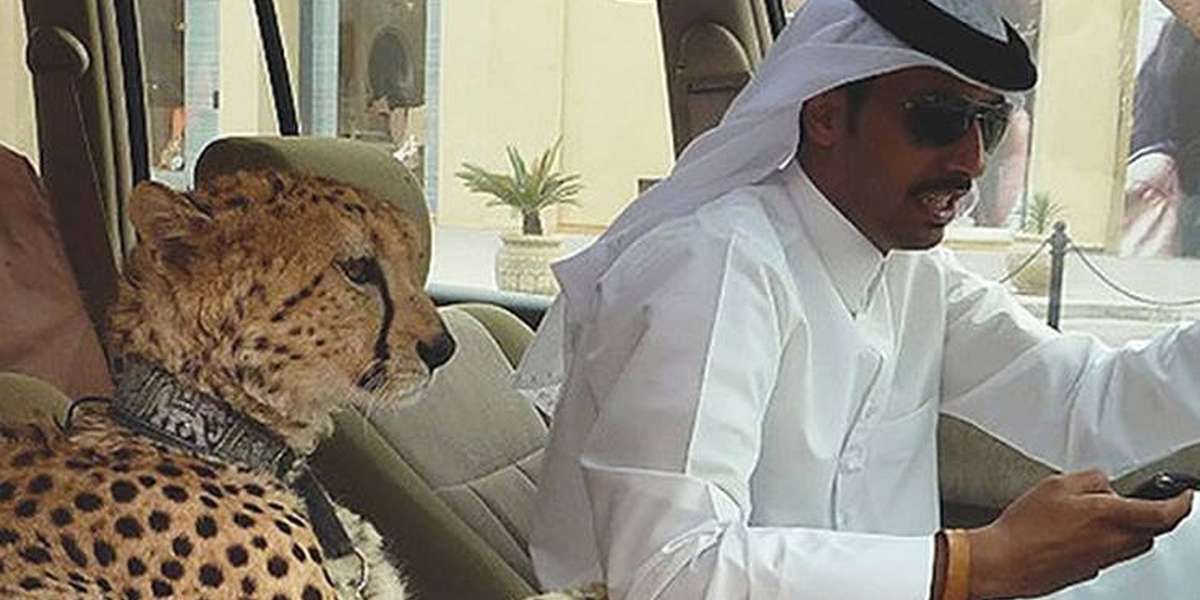 YES Country Just Made It Illegal To Own Exotic Pets The Dodo