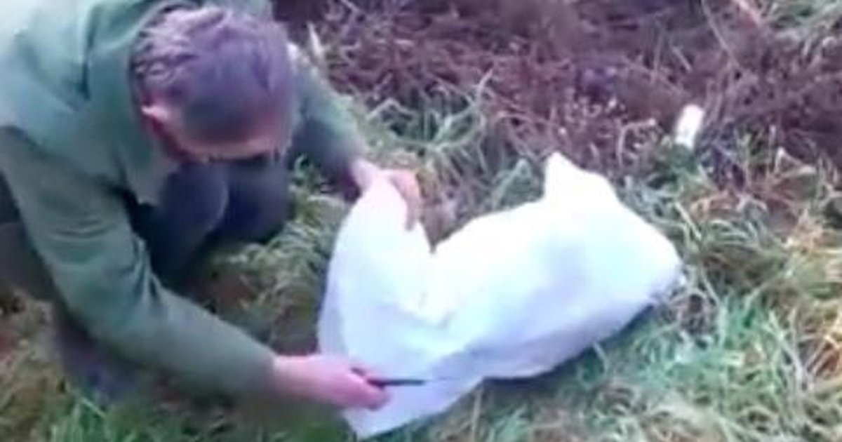 Man Sees Trash Bag Moving And Finds The Most Heartbreaking Surprise