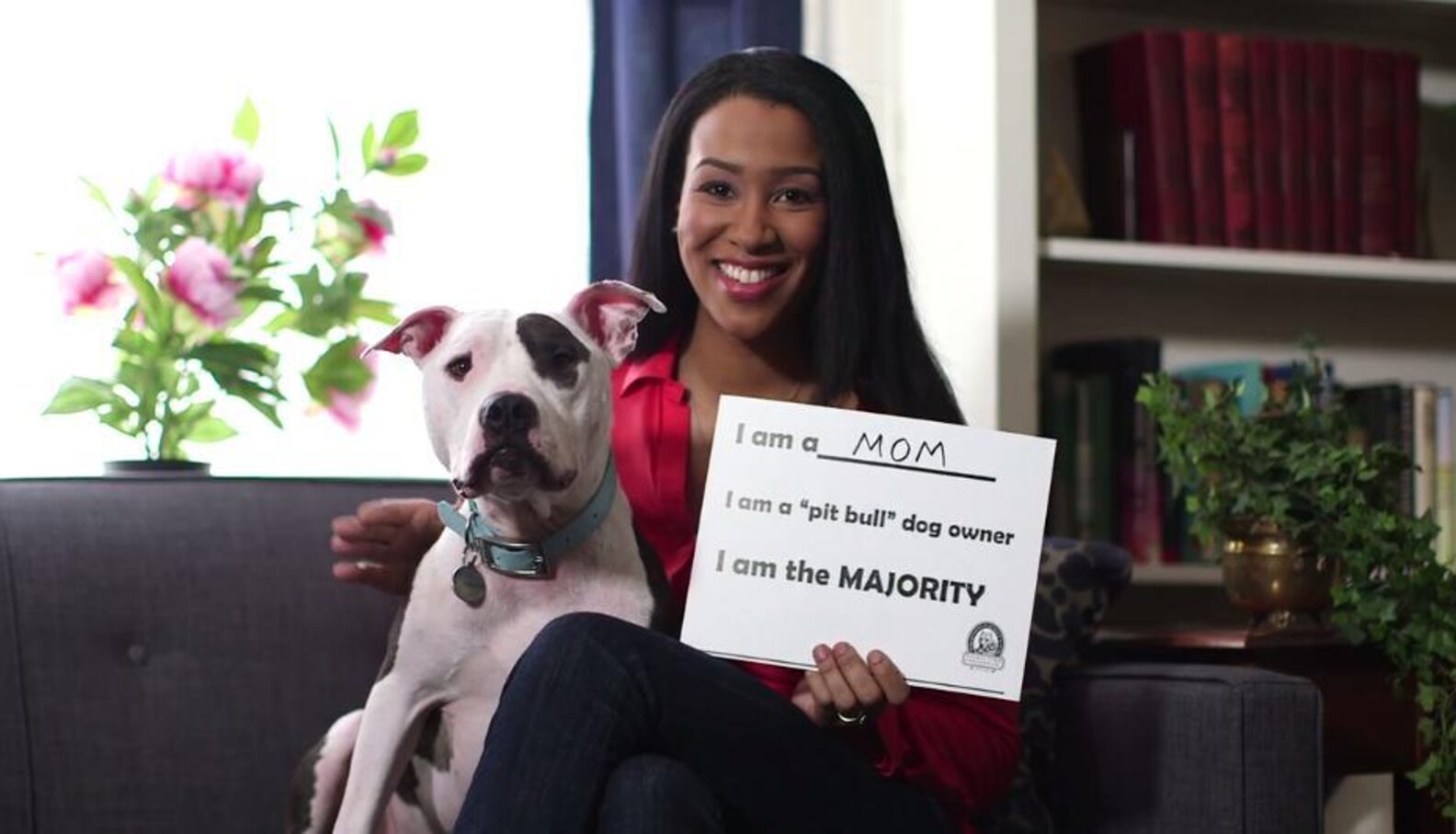 The Real Truth About Pit Bull Owners - The Dodo