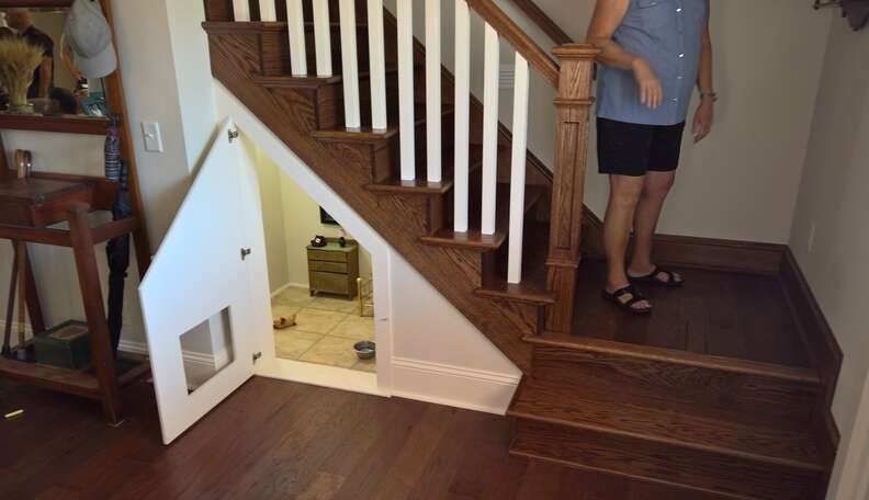 Dog space outlet under stairs