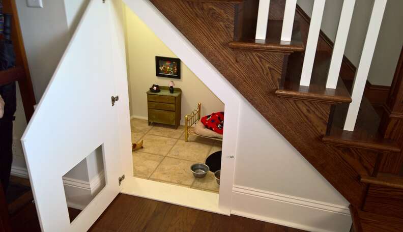 Cat house under store stairs