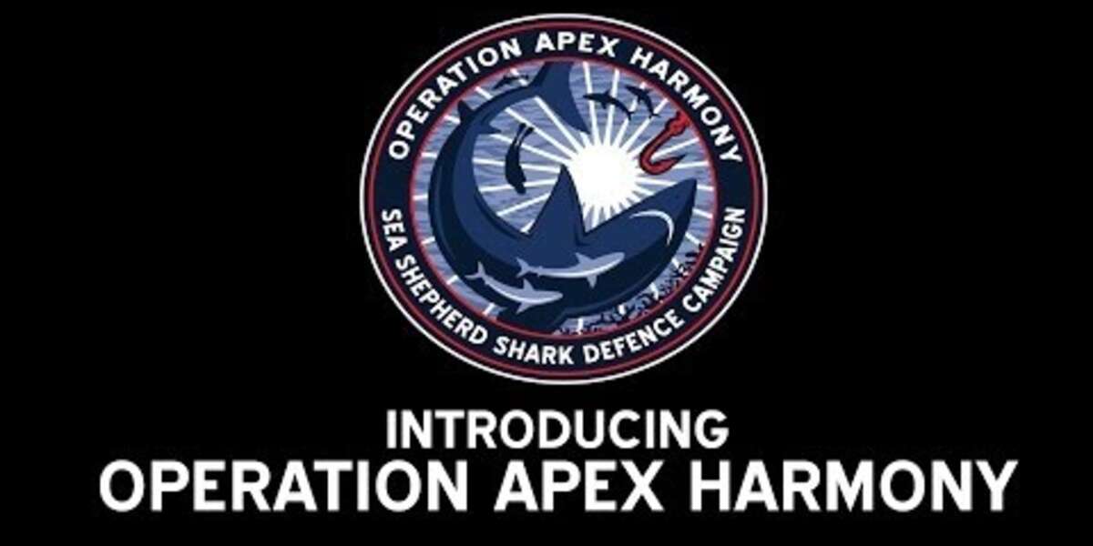 Introducing Operation Apex Harmony - The Dodo
