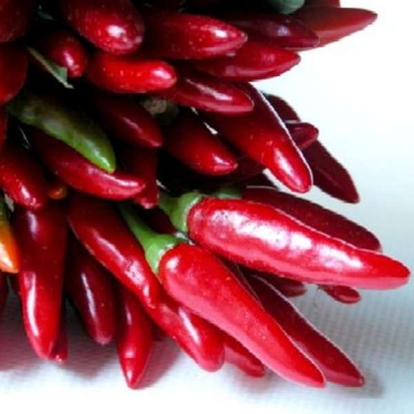 King Chili Pepper A Restaurant in Atlanta, GA Thrillist