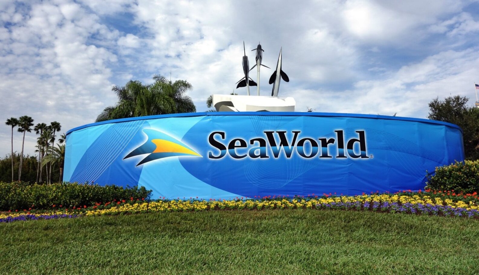 SeaWorld Voted One Of The Most Hated Companies In America The Dodo