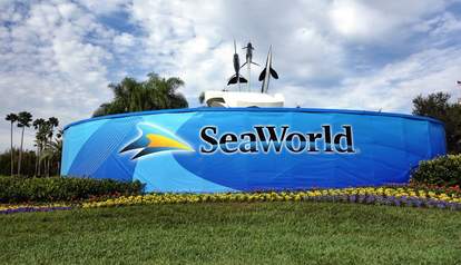 seaworld voted hated dumbest blackfish