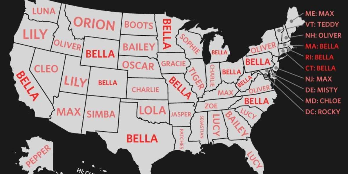 The Most Popular Cat Names In Every State The Dodo