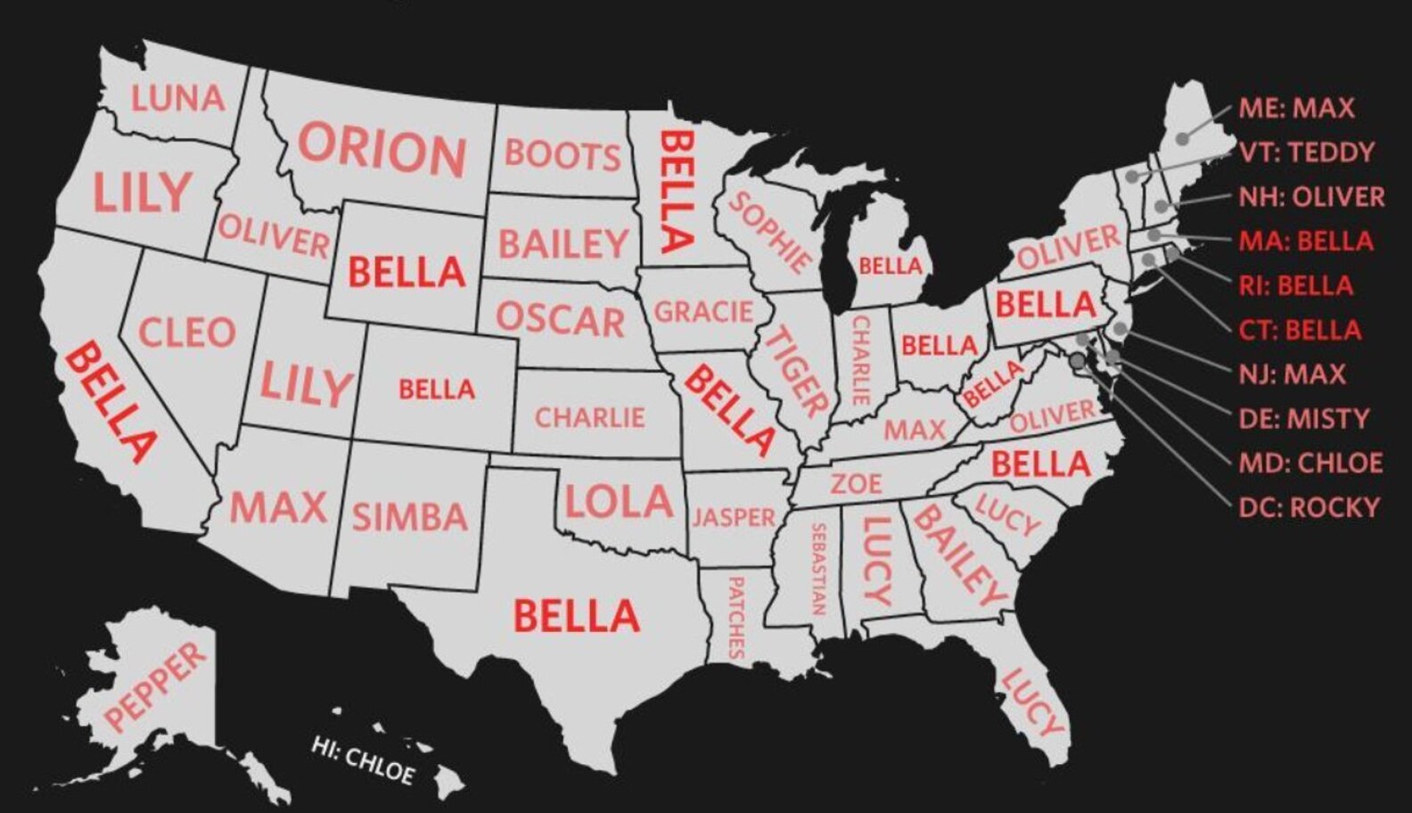 The Most Popular Cat Names In Every State The Dodo