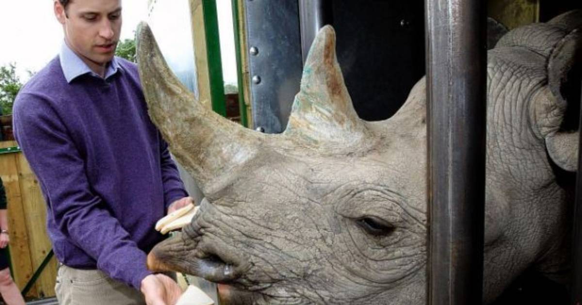 15 Celebrities Who Opened Their Hearts To Animals This Year - The Dodo