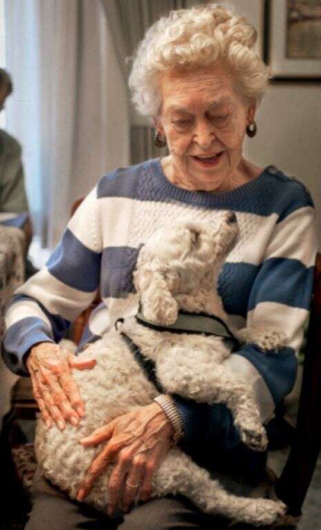 Elderly woman hugging dog