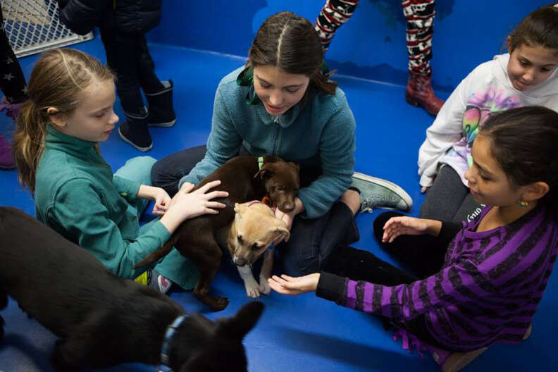 Rescued Puppies Helping Young Women Fight For Equality - The Dodo