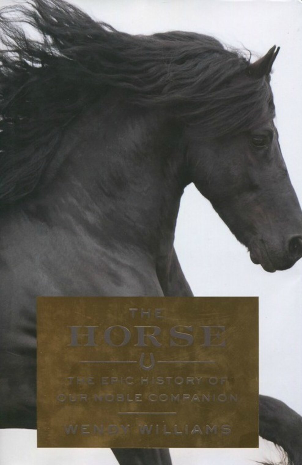Dawn of the Horse The Dodo