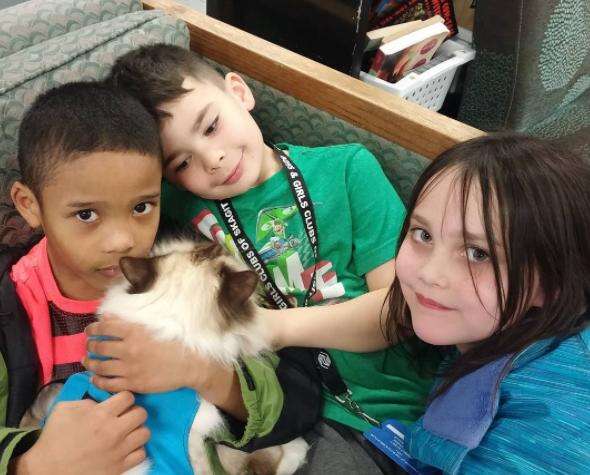 therapy cat loves working with kids