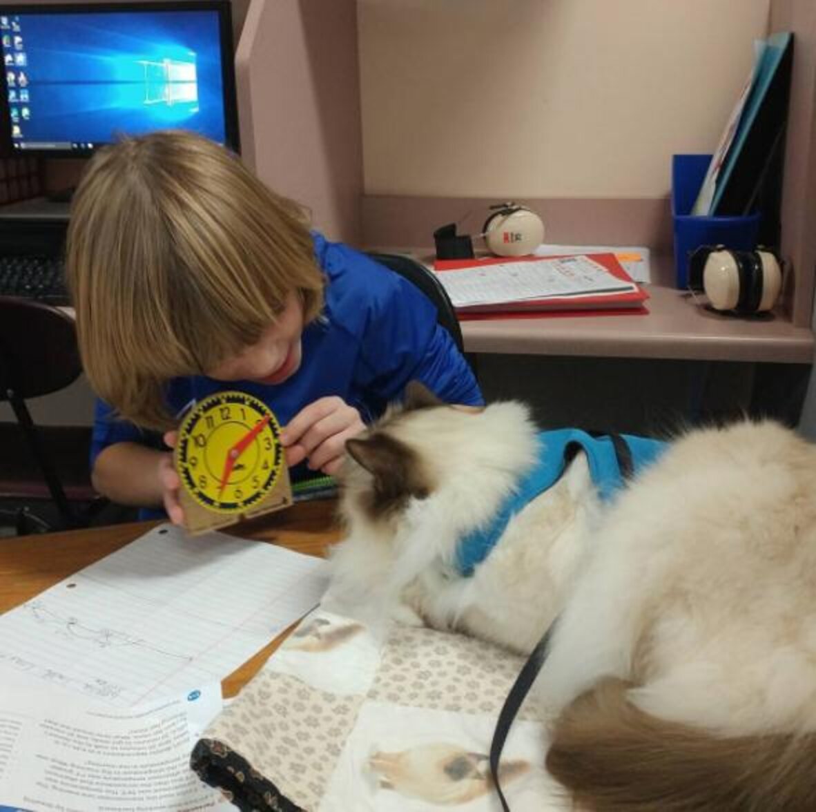 Therapy Cat Loves Working In Schools With Kids The Dodo