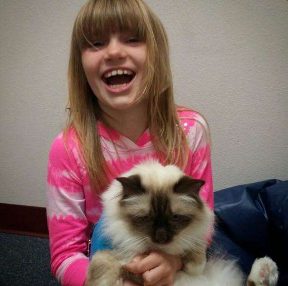therapy cat loves working with kids
