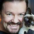 Ricky Gervais Speaks Out Against Declawing Cats