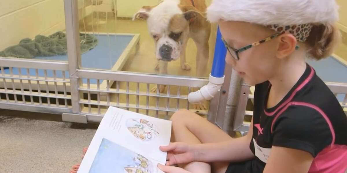 Kids Read To Shelter Dogs So They're Less Lonely - The Dodo