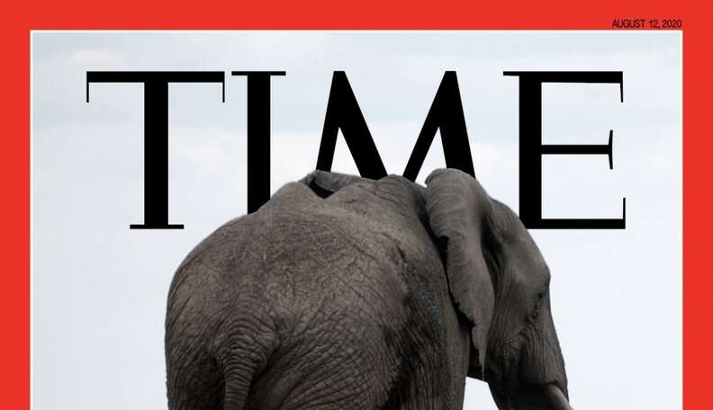 Fictional Magazine Cover Imagines The Day African Elephants Go Extinct