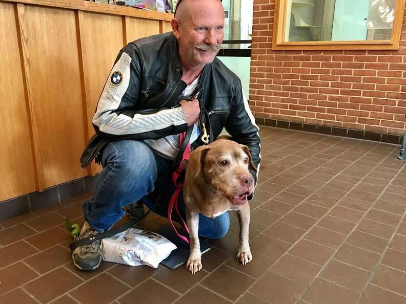 A senior dog named Julep was just adopted from an animal shelter