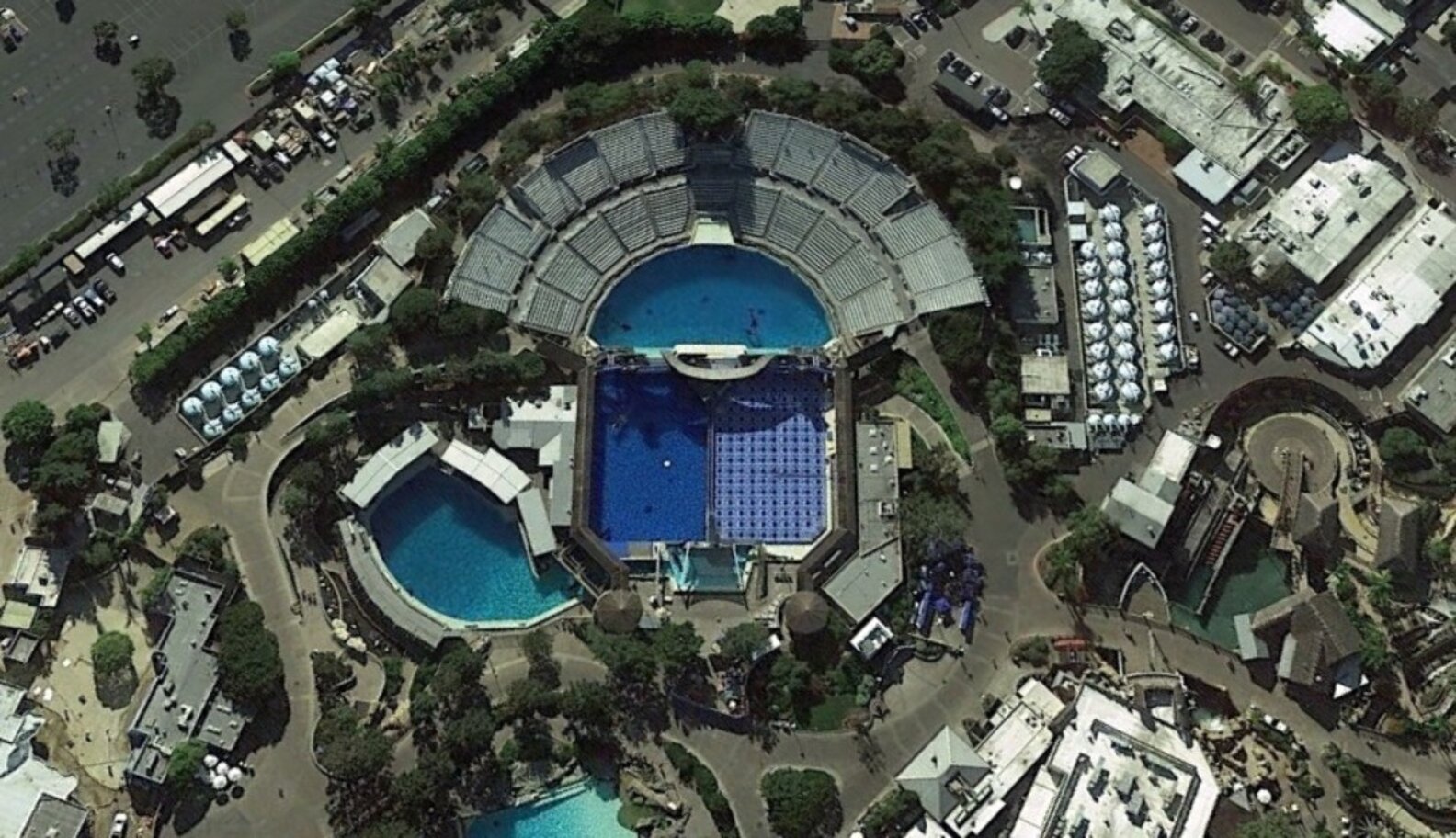 Desperate SeaWorld Doubles Down On Failing Business Model - The Dodo