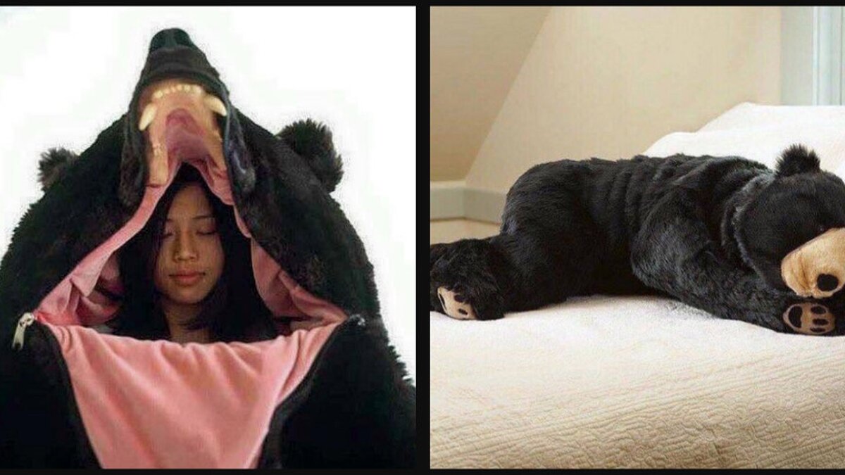 Someone Created A Bear Sleeping Bag For All Your Hibernation Needs