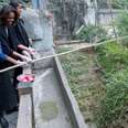 First Lady: How Pandas Bring Nations Together