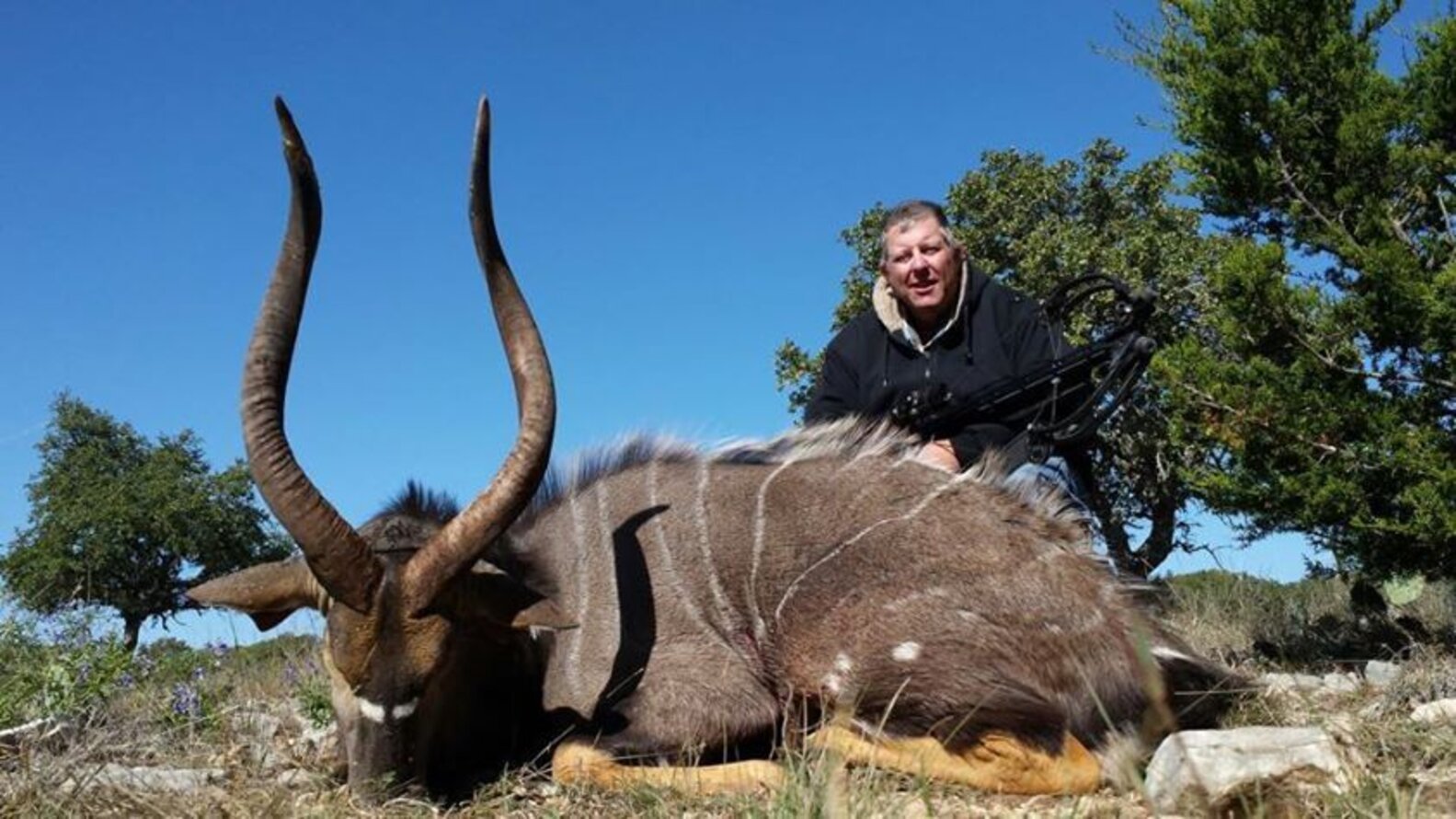 Want To Hunt A Zebra? Go To Texas The Dodo