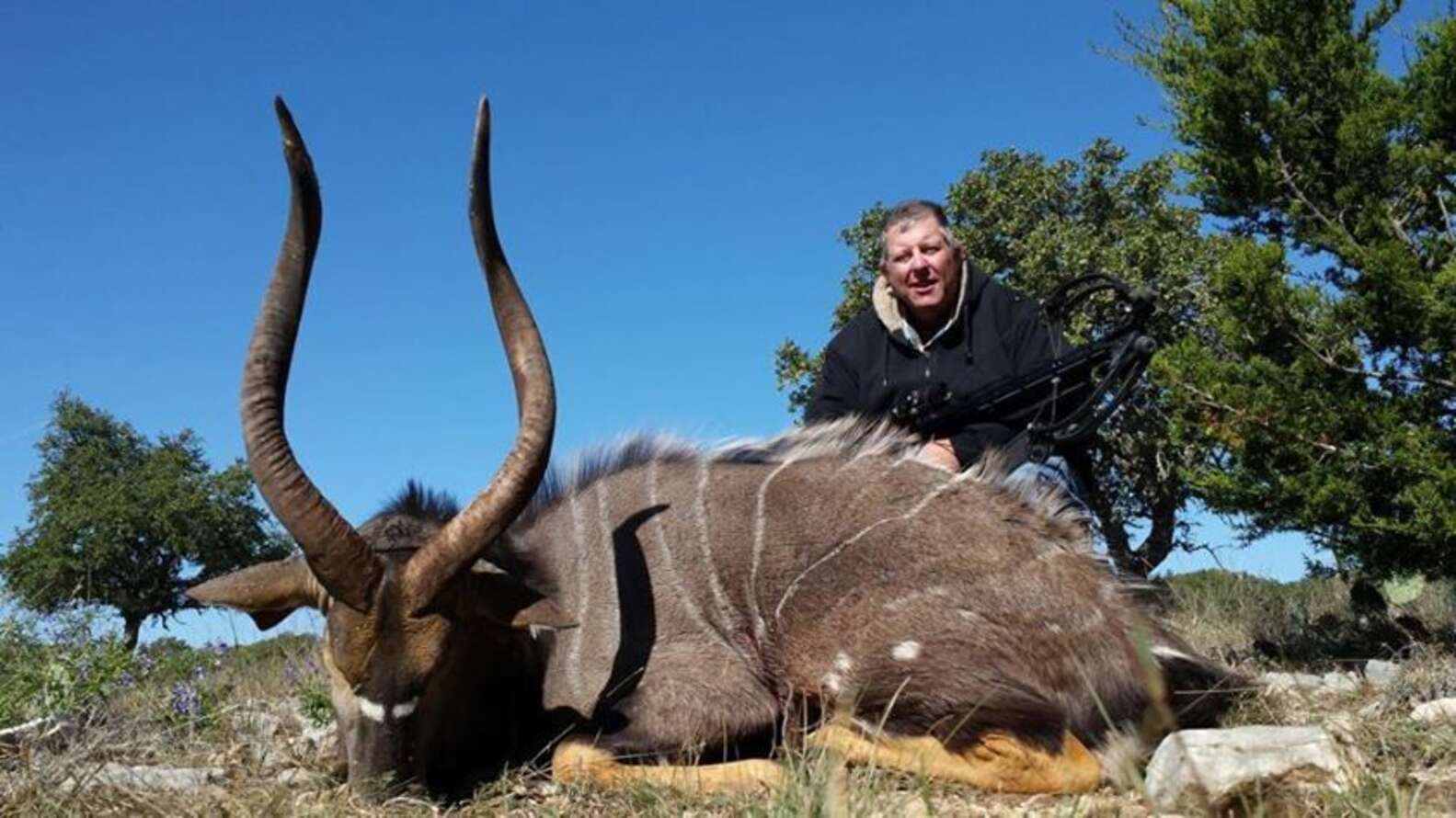 Hunting Ranches In Texas Zebra Hunting Texas _ Hunting Packages – EHTN