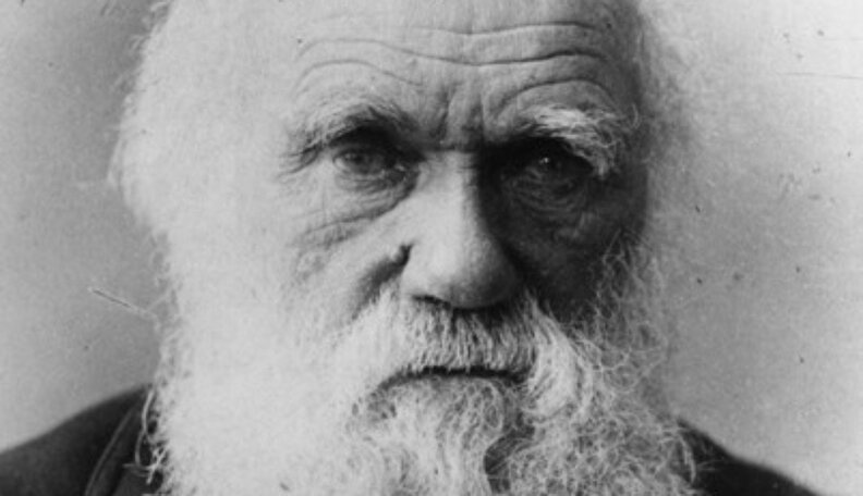 Darwin Made it Hard to Justify Eating Animals - The Dodo