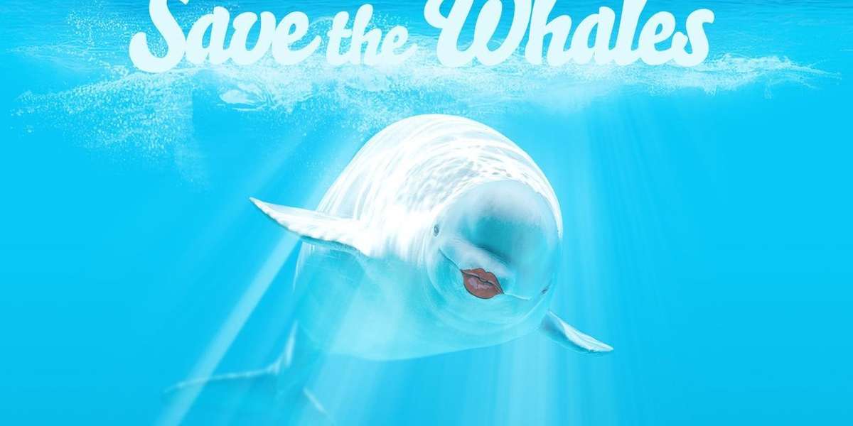 Racy Fundraiser Wants You To Save The Whales ... By Watching Porn ...