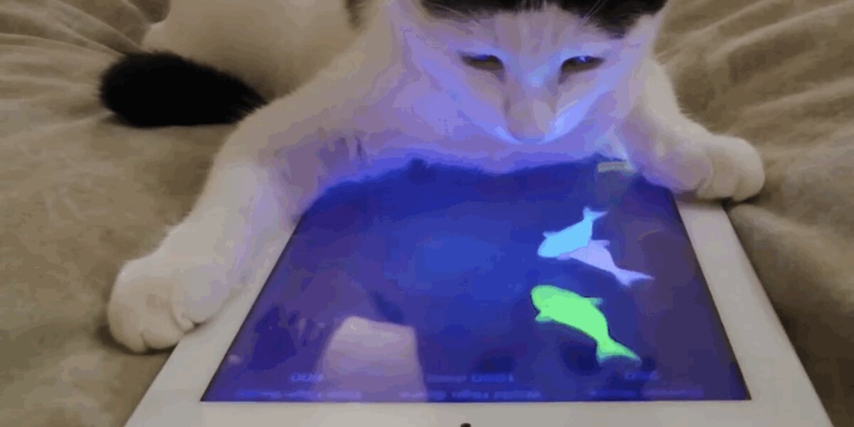 7 Animals Who Have Mastered Technology And Are Going To Take Over The ...