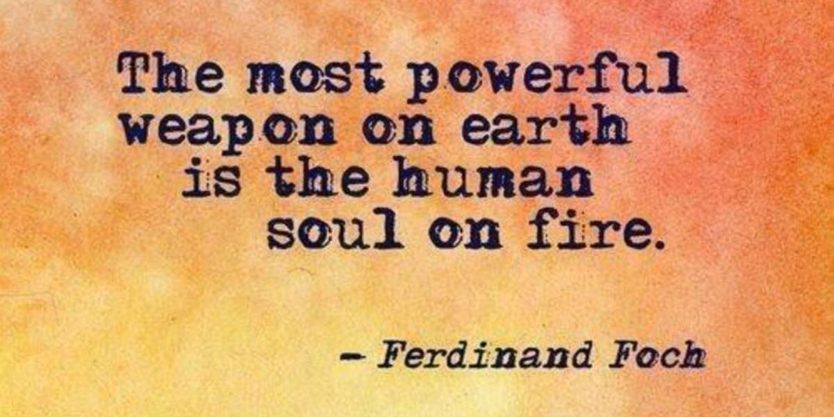 Set the fire in your soul free Help spread the word and shut Taiji