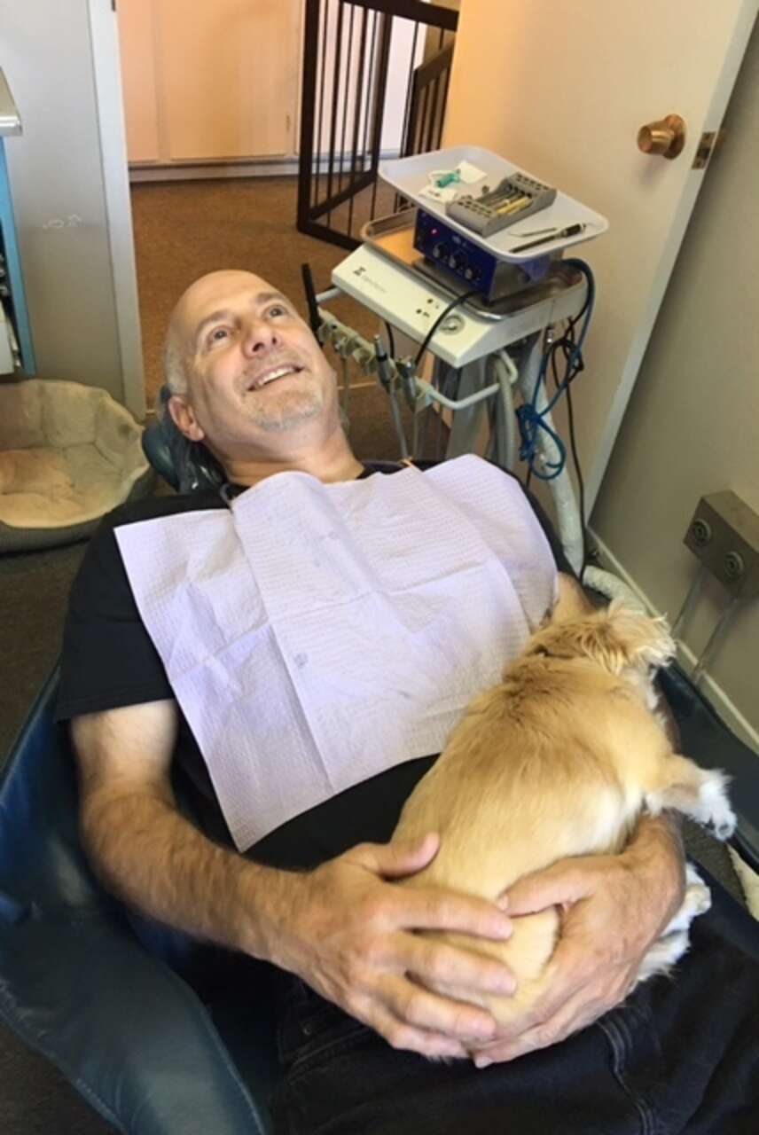 Senior Dog With No Teeth The Best Dental Therapy Dog The Dodo