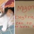 'Desperet' Kitten Found In Box With Child's Heartbreaking Note