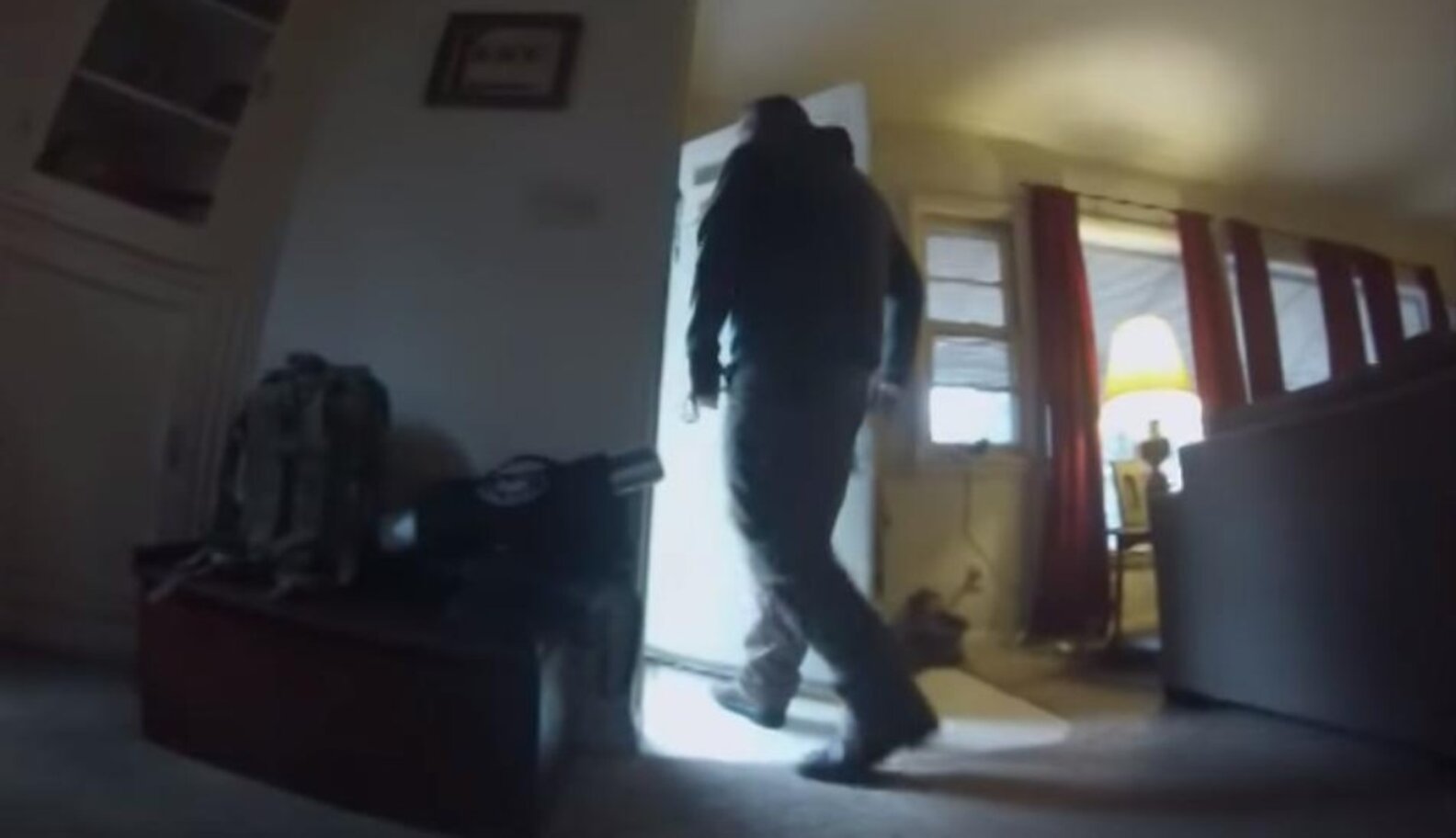Haunting Video Shows The Unseen Sadness Of A Dog Left Home Alone The Dodo