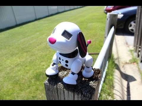 Zoomer the store interactive robotic dog