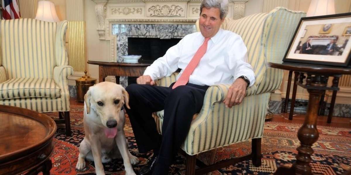 Follow John Kerry's Dog On Twitter (Because He's A "Diplomutt") The Dodo