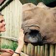 Visiting the World's Largest Rhino Orphanage!