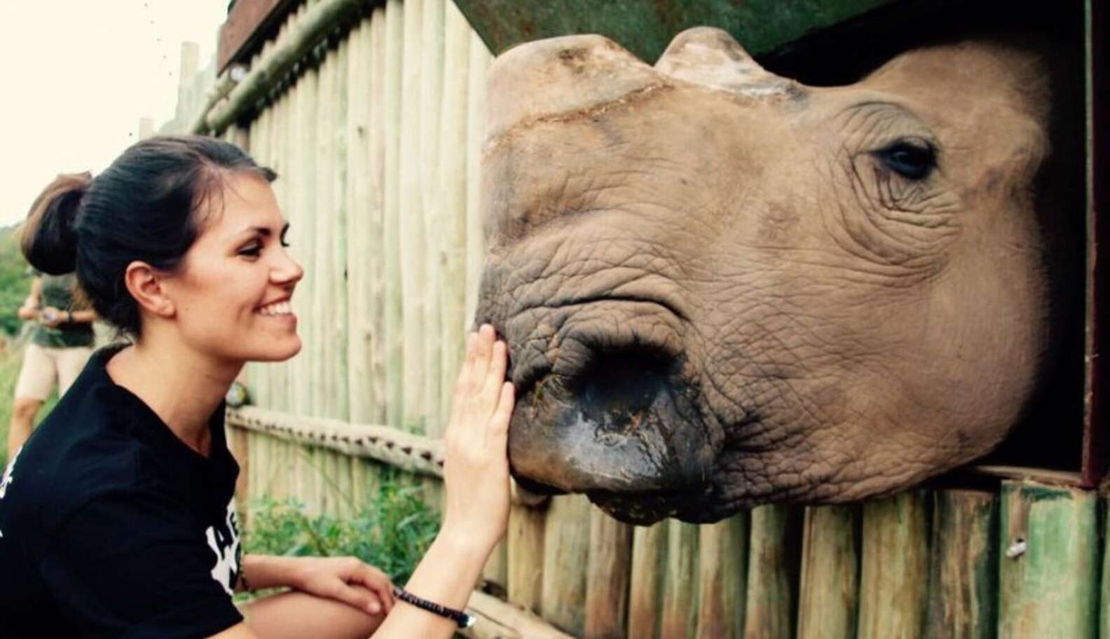 Visiting the World's Largest Rhino Orphanage! - The Dodo