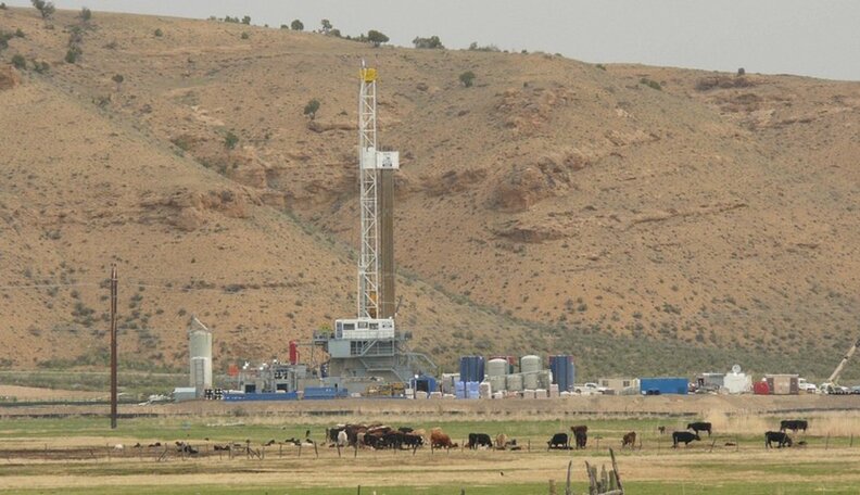 No One Knows How Bad Fracking Is For Animals -- And That’s A Problem ...