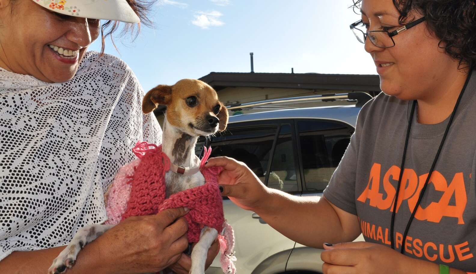 We've Kept So Many Pets Out Of Shelters With The Smallest Gestures ...