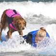 Surfing Dog Gives Sisters With Terminal Illness Best Day Ever