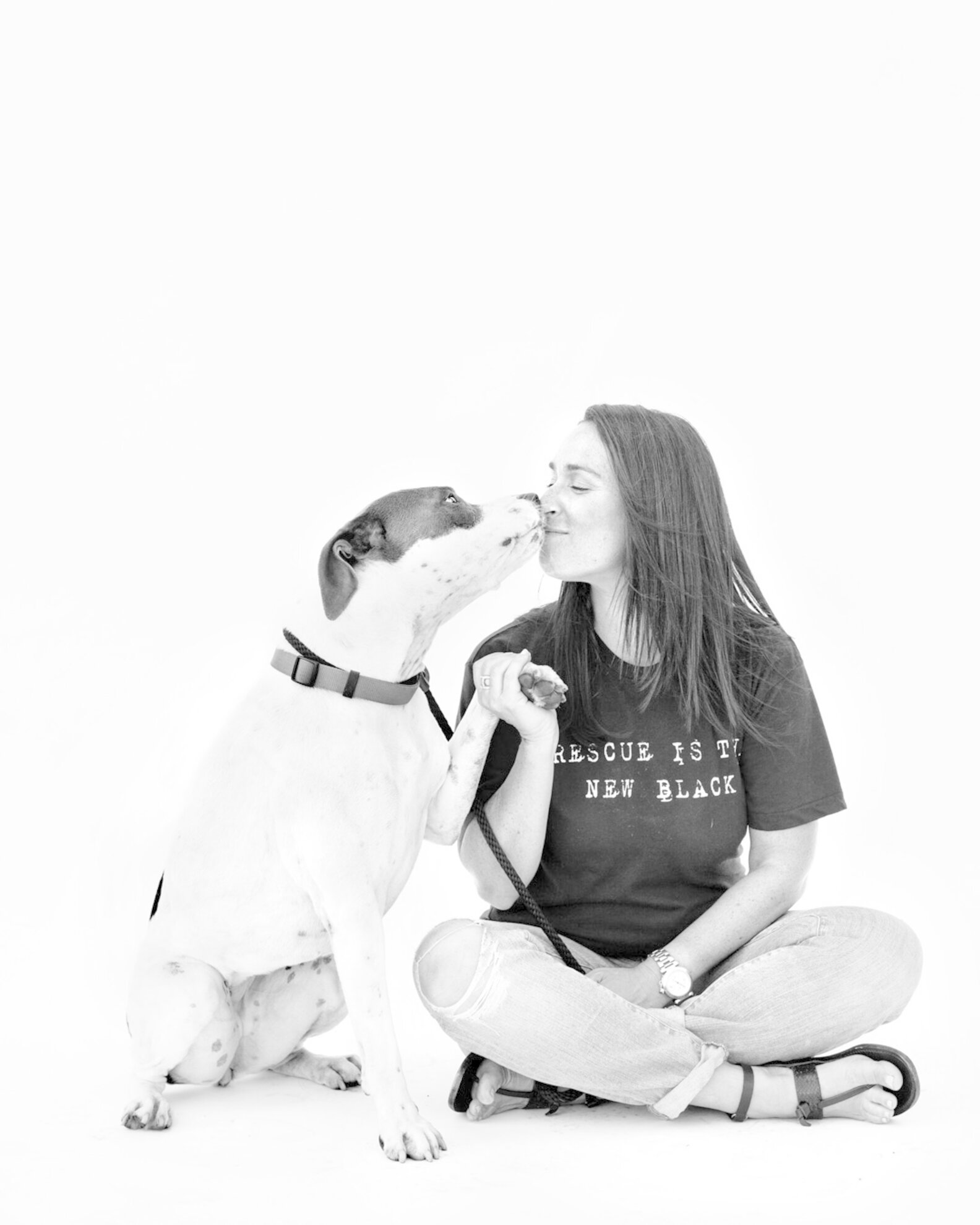 Animal Shelters Can Help Humans Heal Too The Dodo