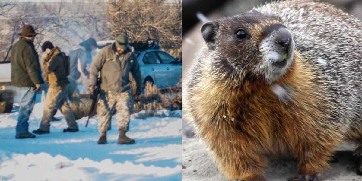 Protesters Stormed A Wildlife Refuge. Here Are The Animals Who Live