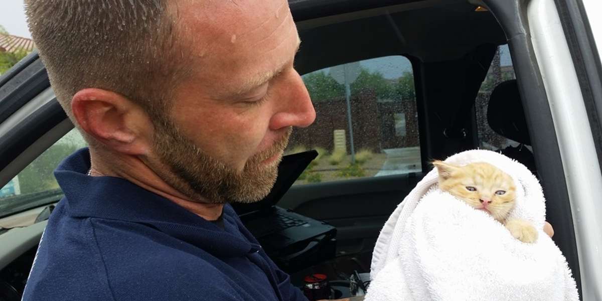 Rescuer Swaddles Kitten Who Was Saved From Flooding Drain Pipe - The Dodo