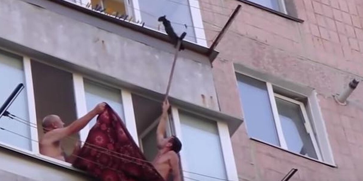 Men Have Only A Broom And A Rug To Save Dangling Kitten - The Dodo